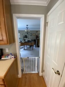 LBK Design Build - New Hope First Floor Remodel - BEFORE