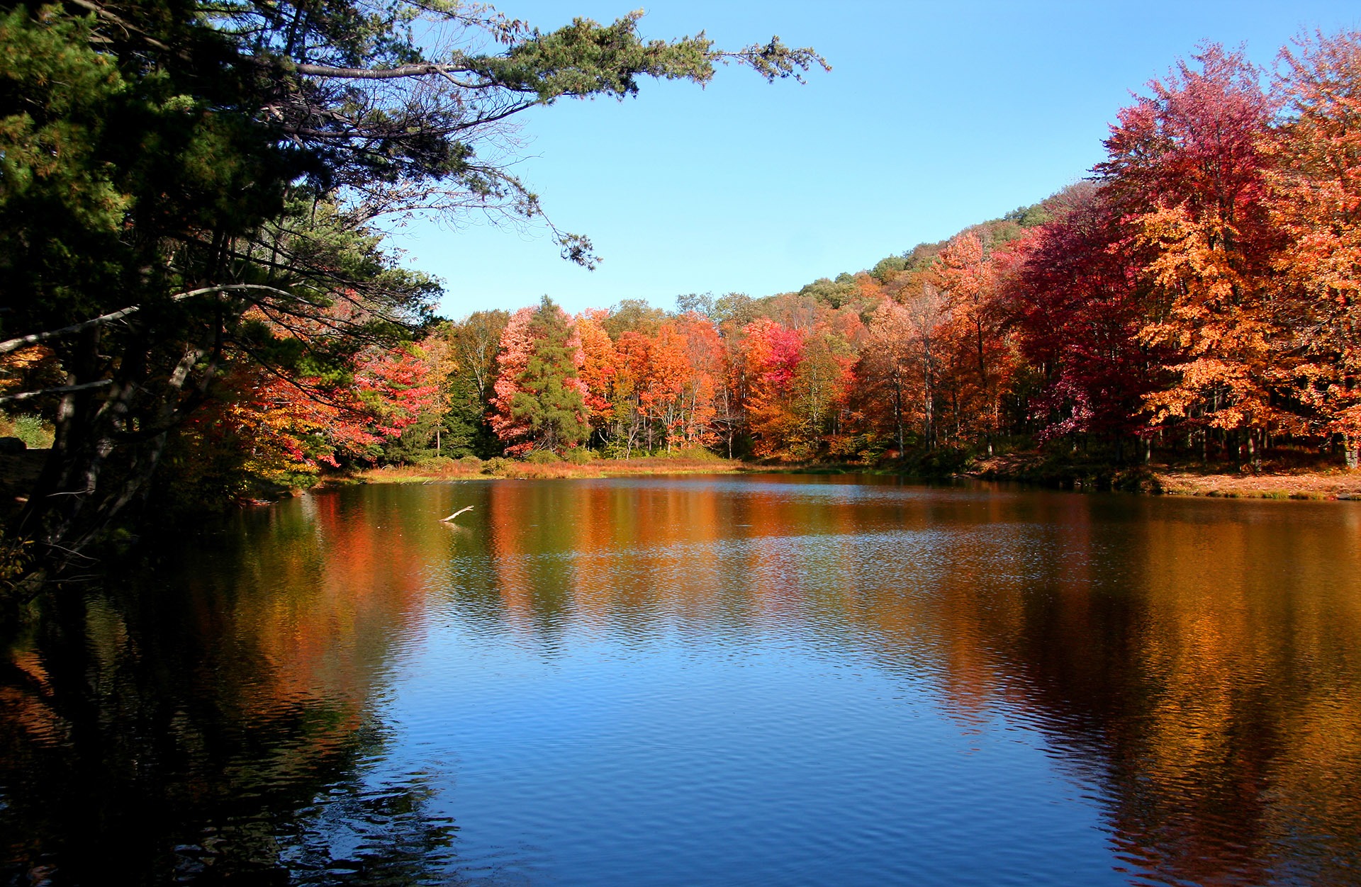 Home Additions in Gladwyne, PA